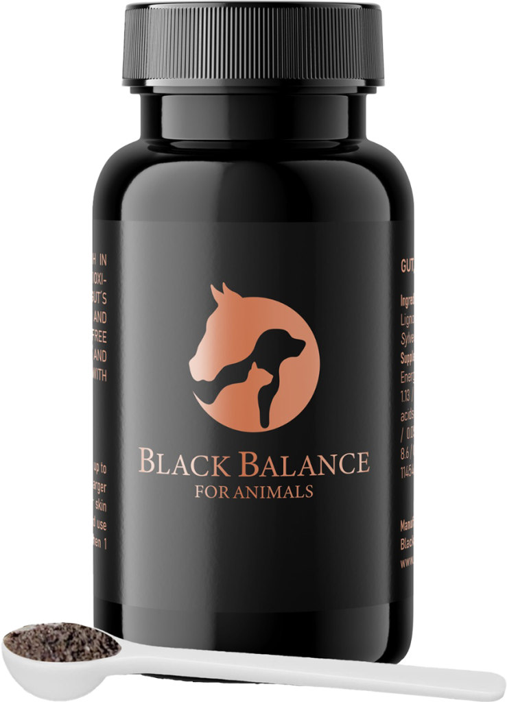 Black Balance