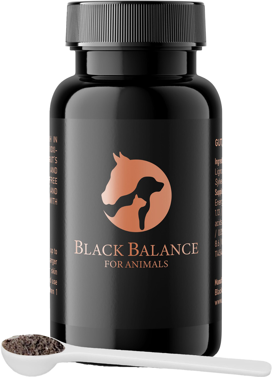 Black Balance